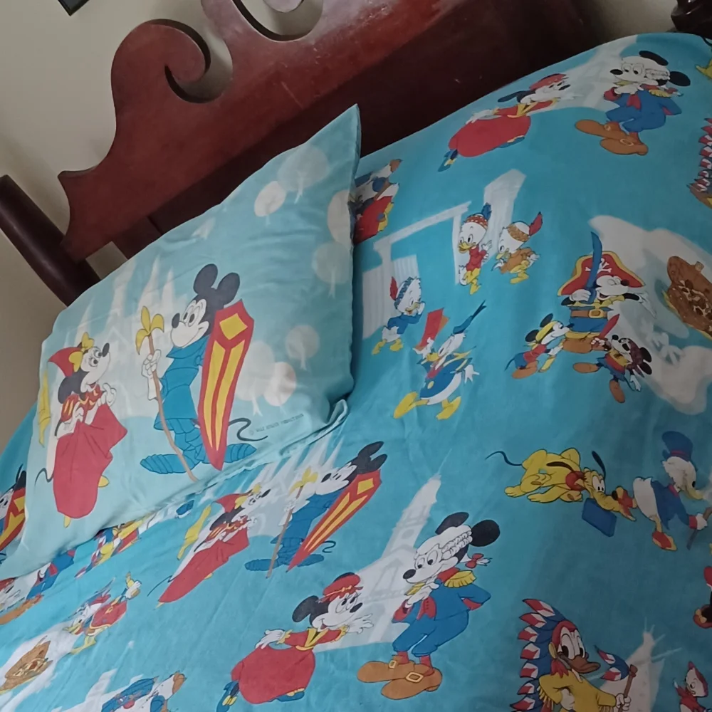 Vintage 70s Walt Disney Frontierland Donald duck Mickey pillowcase & bedspread